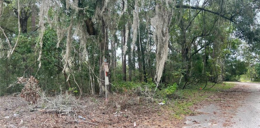 Terreno en High Springs, Florida № 742911
