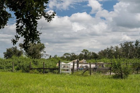 Terreno en venta en Myakka City, Florida № 2098832 - foto 23