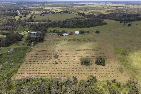 Terreno en venta en Myakka City, Florida № 2098832 - foto 21