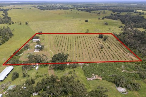 Terreno en Myakka City, Florida № 2098832