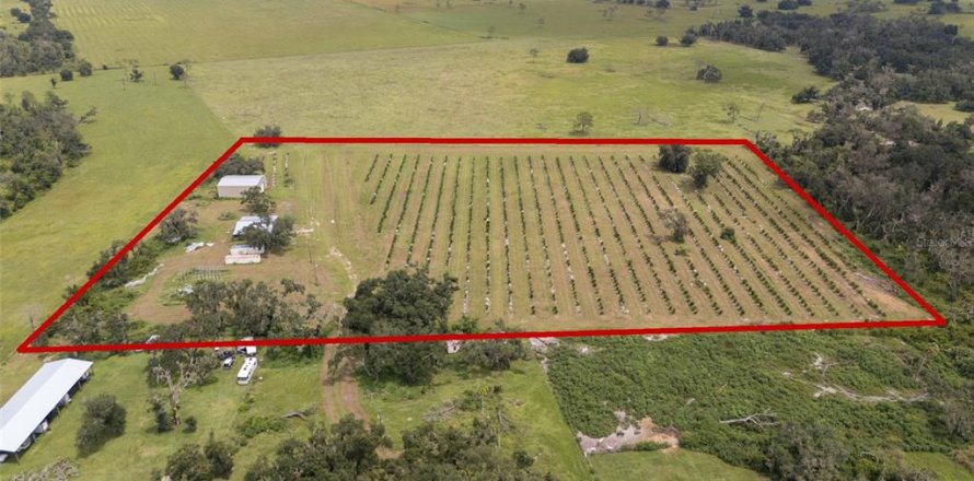 Terreno en Myakka City, Florida № 2098832