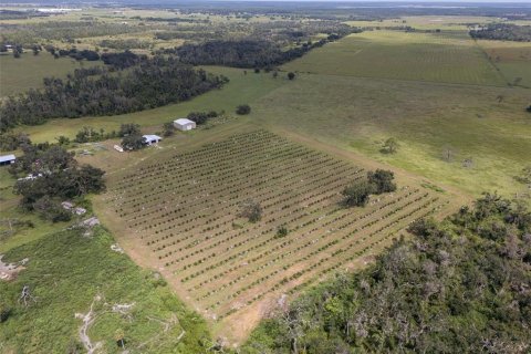 Terreno en venta en Myakka City, Florida № 2098832 - foto 2