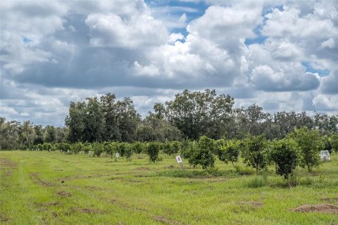 Terreno en venta en Myakka City, Florida № 2098832 - foto 22