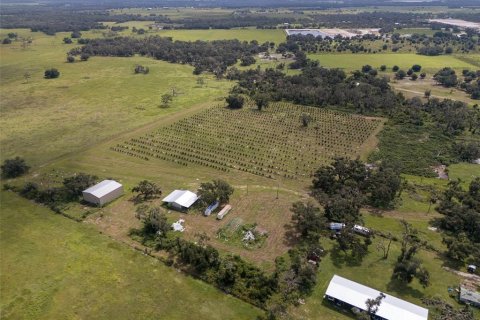 Terreno en venta en Myakka City, Florida № 2098832 - foto 24