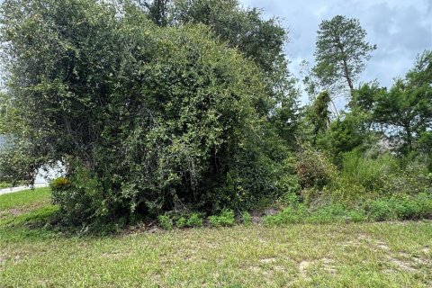 Terreno en venta en Ocala, Florida № 1815973 - foto 1