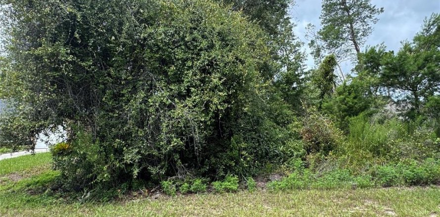 Terreno en Ocala, Florida № 1815973