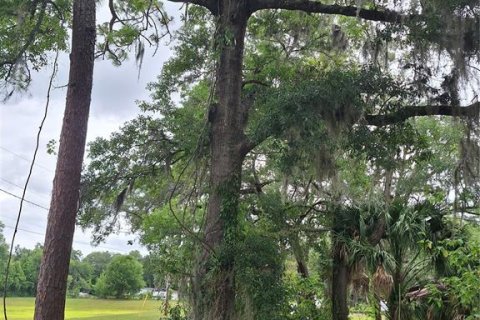Terreno en venta en Ocala, Florida № 1522186 - foto 5
