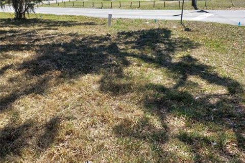 Terreno en venta en Ocala, Florida № 1522186 - foto 8
