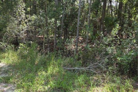 Land in Ocala, Florida № 2377607