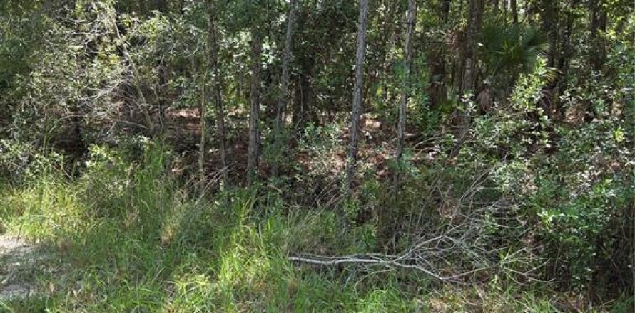 Land in Ocala, Florida № 2377607