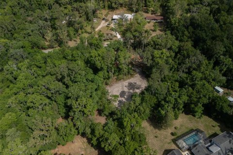 Land in Gainesville, Florida № 1657544 - photo 12