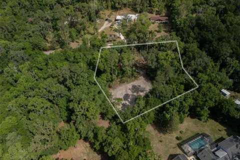 Land in Gainesville, Florida № 1657544 - photo 2