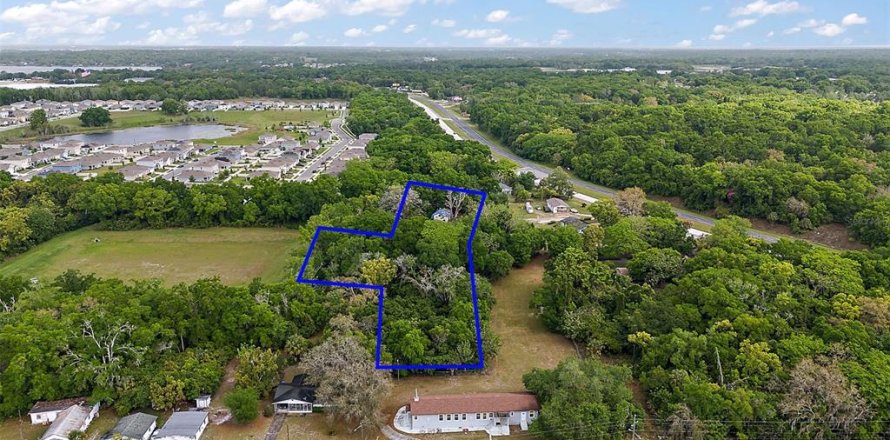 Land in Mount Dora, Florida № 1087844