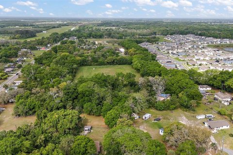 Land in Mount Dora, Florida № 1087844 - photo 3