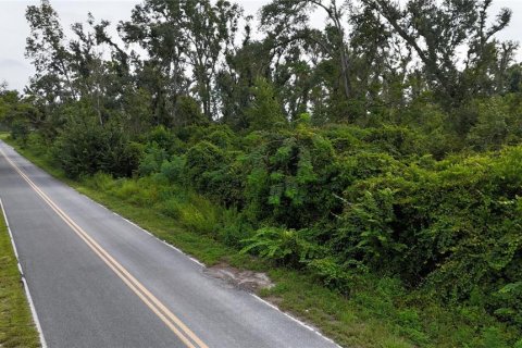 Terreno en venta en Live Oak, Florida № 1910830 - foto 6