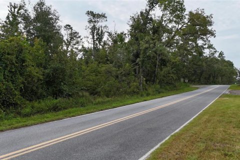 Terreno en venta en Live Oak, Florida № 1910830 - foto 7