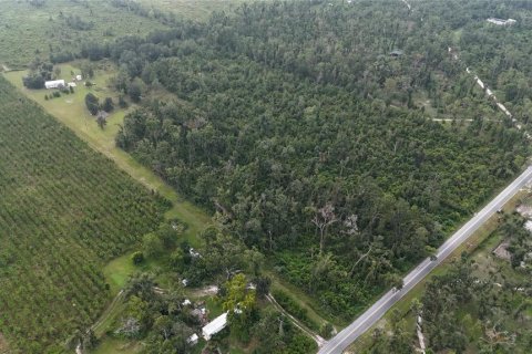 Terreno en venta en Live Oak, Florida № 1910830 - foto 5