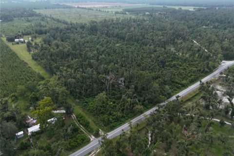 Terreno en venta en Live Oak, Florida № 1910830 - foto 1