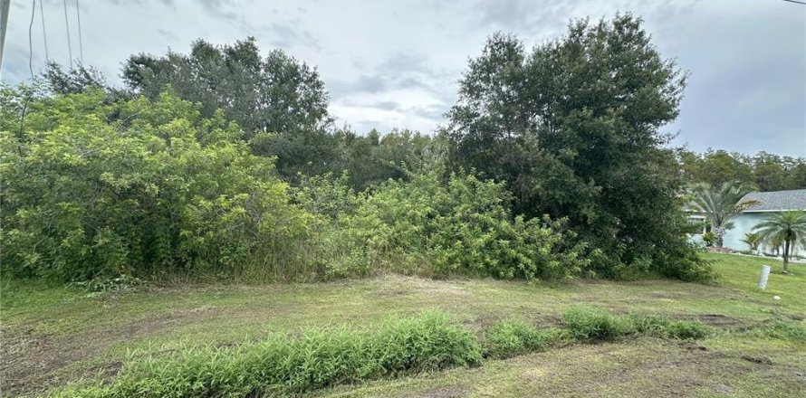 Terrain à Kissimmee, Floride № 1918213