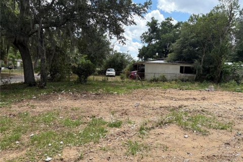 Land in Valrico, Florida № 2093628 - photo 4