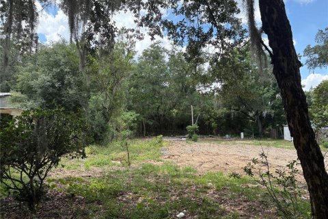 Land in Valrico, Florida № 2093628 - photo 2