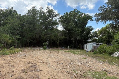 Land in Valrico, Florida № 2093628 - photo 5