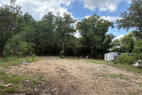 Land in Valrico, Florida № 2093628 - photo 3
