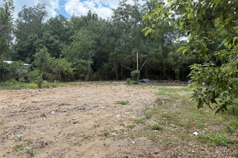 Land in Valrico, Florida № 2093628