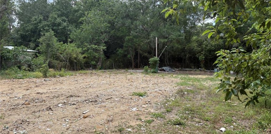 Land in Valrico, Florida № 2093628