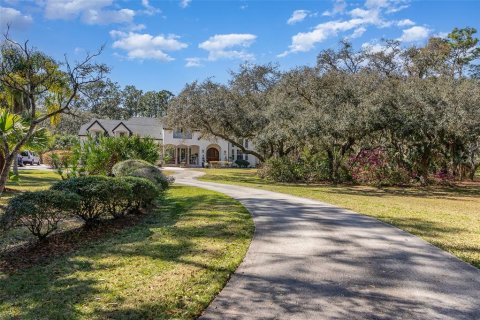 Casa en venta en Orlando, Florida, 4 dormitorios, 421.59 m2 № 1591271 - foto 5