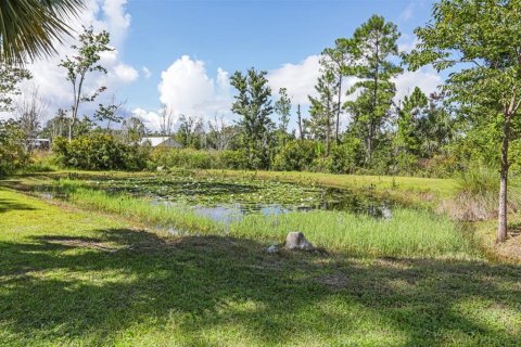 Casa en venta en Steinhatchee, Florida, 2 dormitorios, 215.81 m2 № 1901282 - foto 29