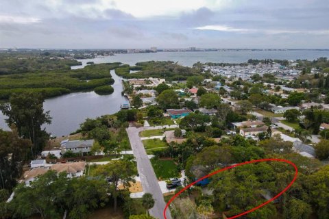 House in Gulfport, Florida 2 bedrooms, 80.64 sq.m. № 1514127 - photo 1