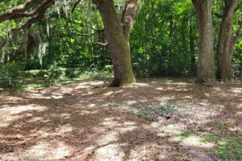 Studio in Leesburg, Florida № 1866206 - photo 8