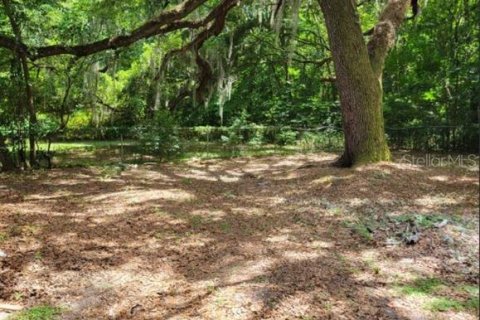 Studio in Leesburg, Florida № 1866206 - photo 7