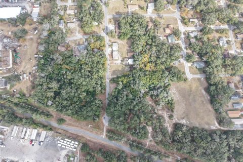 Land in Leesburg, Florida № 2136280 - photo 7