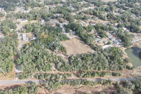 Land in Leesburg, Florida № 2136280 - photo 5