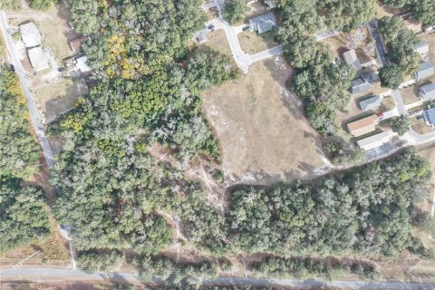 Land in Leesburg, Florida № 2136280 - photo 6