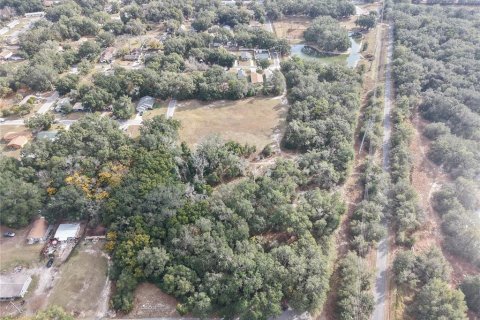 Land in Leesburg, Florida № 2136280 - photo 4