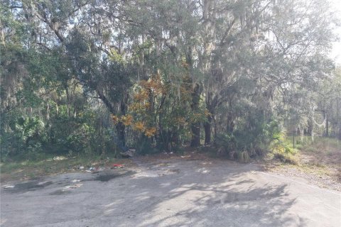 Land in Leesburg, Florida № 2136280