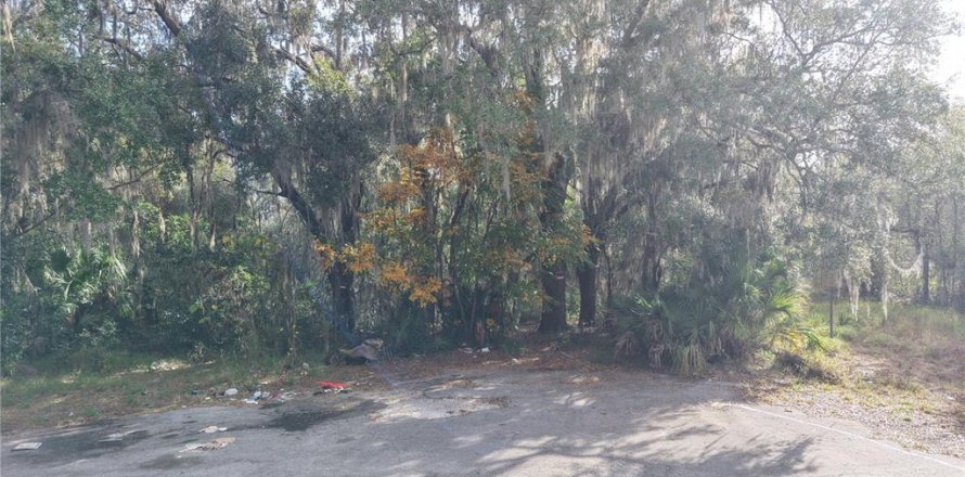 Land in Leesburg, Florida № 2136280