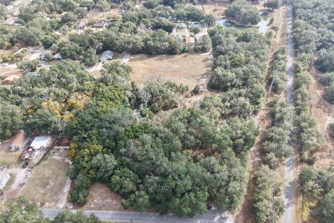 Land in Leesburg, Florida № 2136280 - photo 3