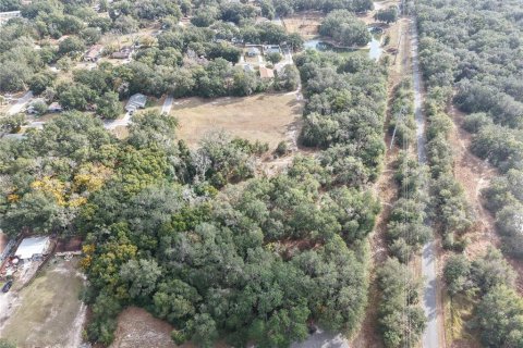 Land in Leesburg, Florida № 2136280 - photo 2