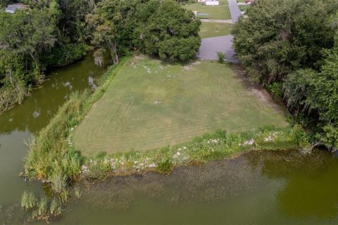 Land in Lake Panasoffkee, Florida № 1798089 - photo 13