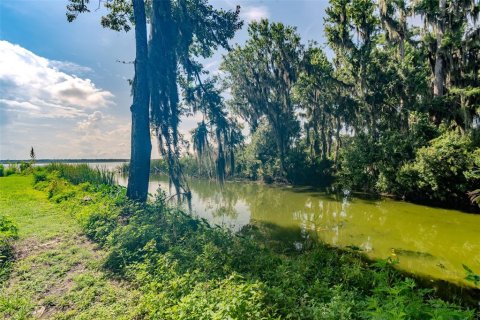 Land in Lake Panasoffkee, Florida № 1798089 - photo 9
