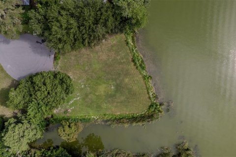 Land in Lake Panasoffkee, Florida № 1798089 - photo 15