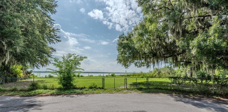 Land in Lake Panasoffkee, Florida № 1798089