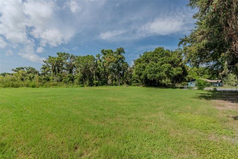Land in Lake Panasoffkee, Florida № 1798089 - photo 5