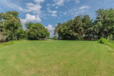 Land in Lake Panasoffkee, Florida № 1798089 - photo 8