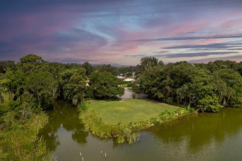 Land in Lake Panasoffkee, Florida № 1798089 - photo 3