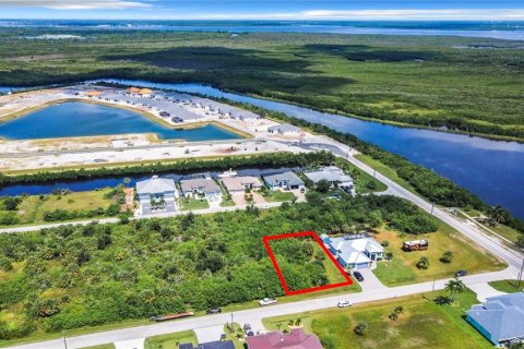 Land in Port Charlotte, Florida № 2214436